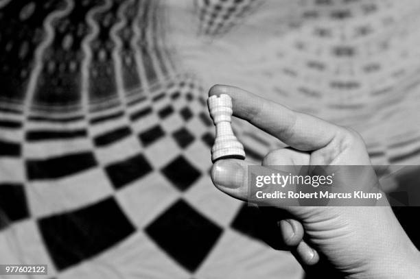(11) down the rabbit hole - rabbit hole stock pictures, royalty-free photos & images