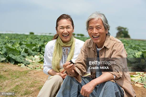 senior couple sitting on field - kanagawa stockfoto's en -beelden