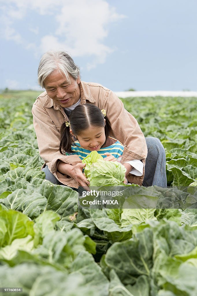 Grandfather and granddaughter in field