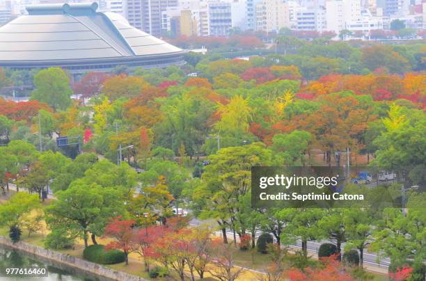 hiroshima castle view - hiroshima castle stock pictures, royalty-free photos & images