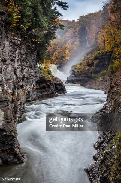 lower falls and genesee river, castile, new york, usa - cataratas lower falls fotografías e imágenes de stock