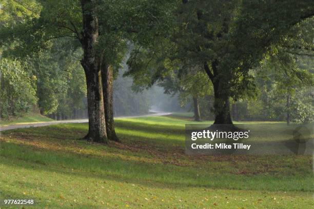 natchez trace parkway - natchez trace parkway stock pictures, royalty-free photos & images