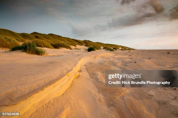 saltum beach, denmark - nick brundle stock-fotos und bilder