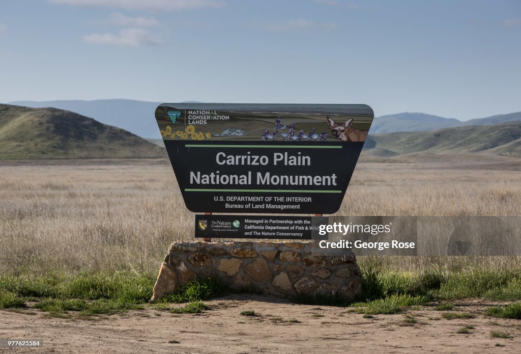 Exploring Carrizo Plain National Monument