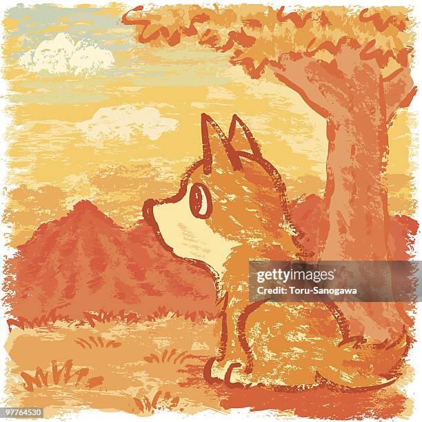 evening glow and dog - wolf illustration stock illustrations