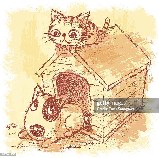 pets and kennel - cat on top of dog stock illustrations