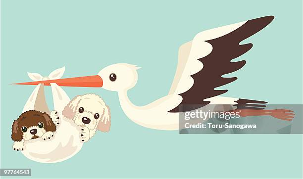 stockillustraties, clipart, cartoons en iconen met goldendoodles and stork - golden retriever