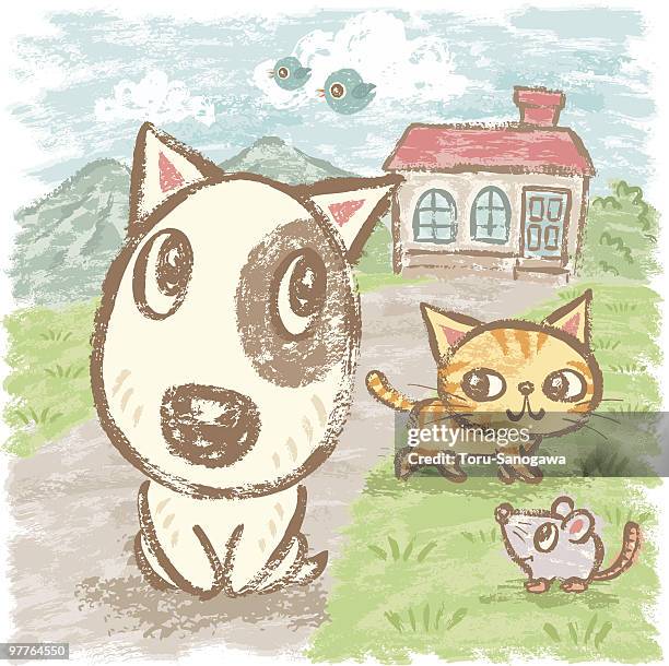 pets and home - cat walking stock illustrations