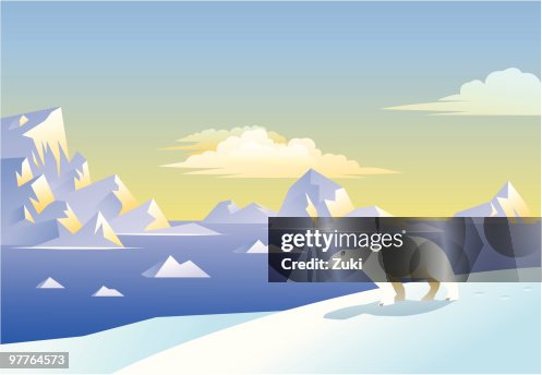 Polar bear Polar bear