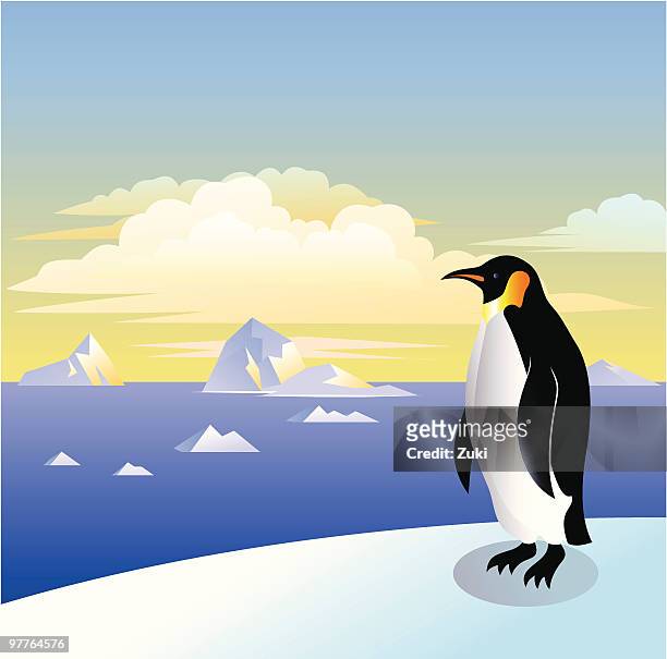 emperor penguin - water penguin stock illustrations