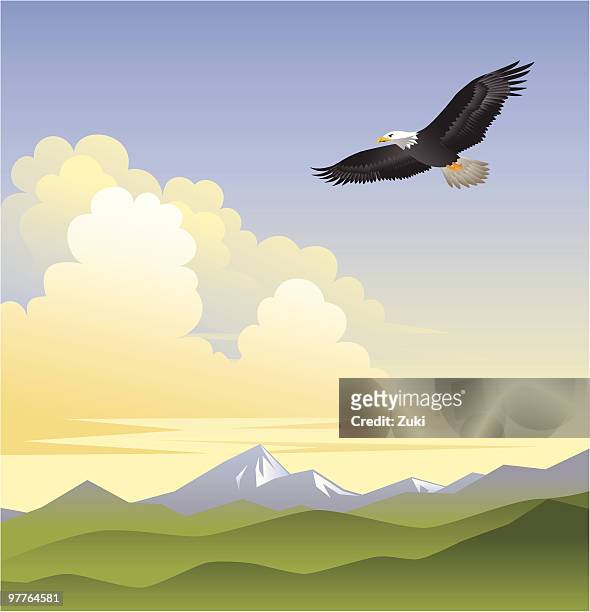 ilustraciones, imágenes clip art, dibujos animados e iconos de stock de alas en eagles - especie en peligro de extinción