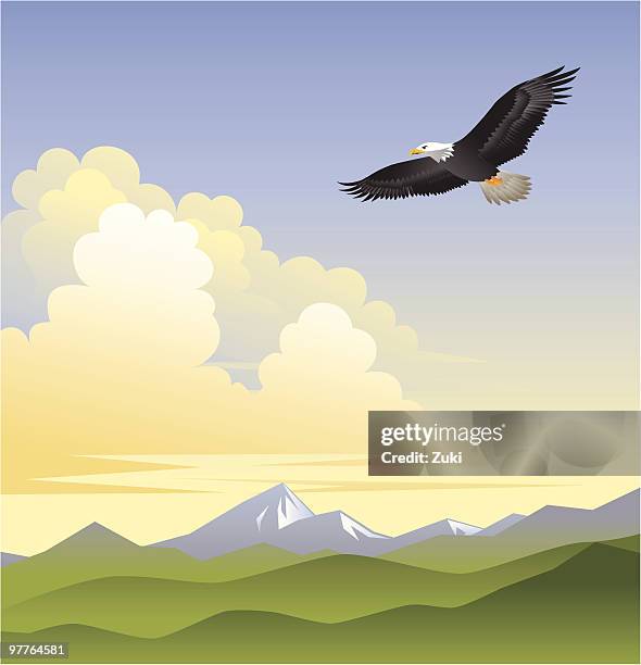 on eagles wings - eagle flying stock illustrations