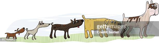 ilustrações de stock, clip art, desenhos animados e ícones de doggie linha - mixed breed dog