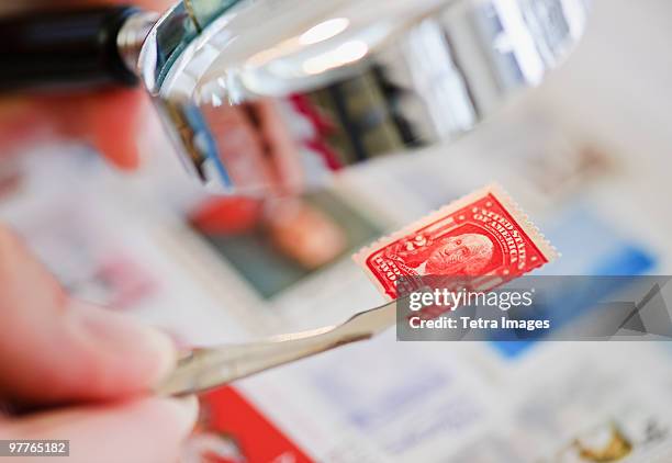 looking at stamp - stamp collection stock pictures, royalty-free photos & images