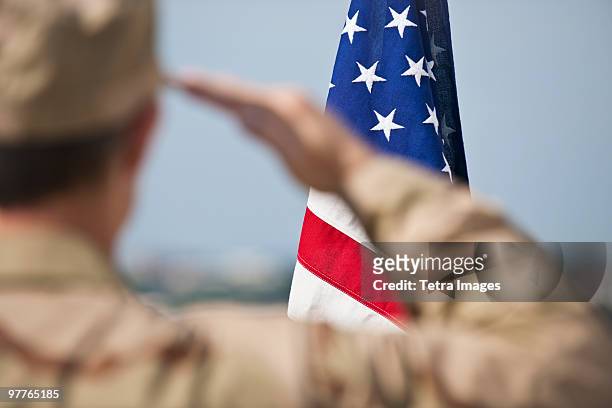 soldier saluting - armed forces stock-fotos und bilder
