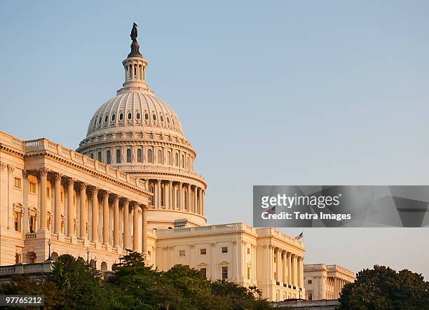 capital building - washington dc stock pictures, royalty-free photos & images