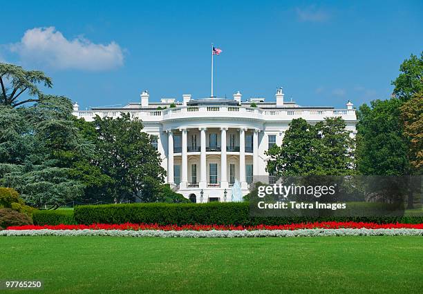 white house - weißes haus stock-fotos und bilder