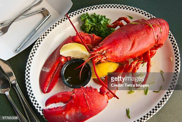 lobster dinner - lobster photos et images de collection