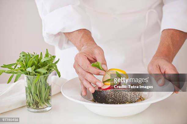chef preparing fish - food plating fotografías e imágenes de stock