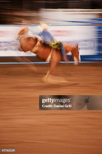Bronco Riding Timer Timed Out Photos and Premium High Res Pictures - Getty Images