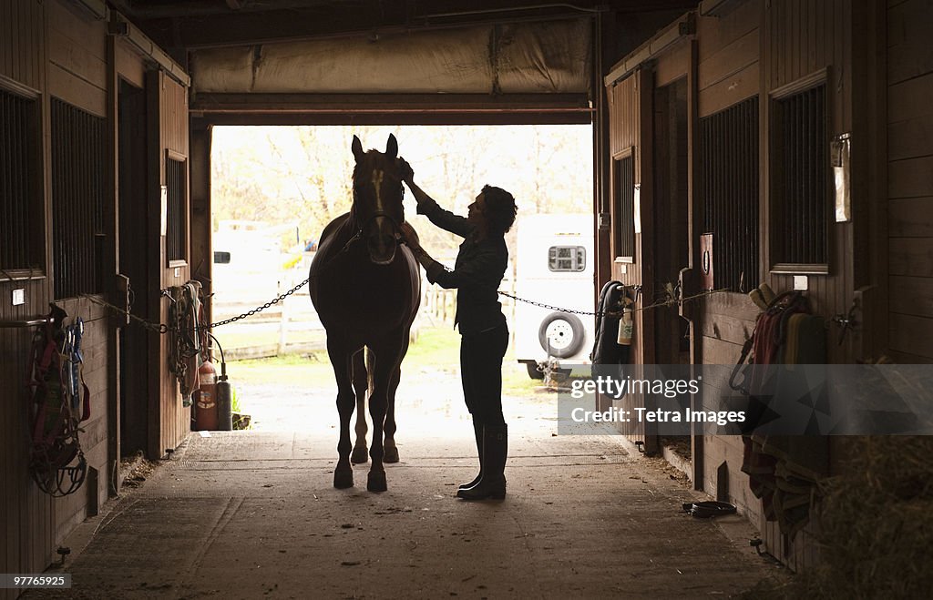 Woman grooming horse