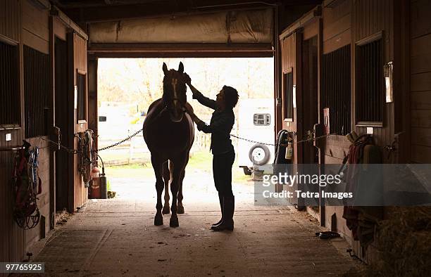 woman grooming horse - pferdestall stock-fotos und bilder