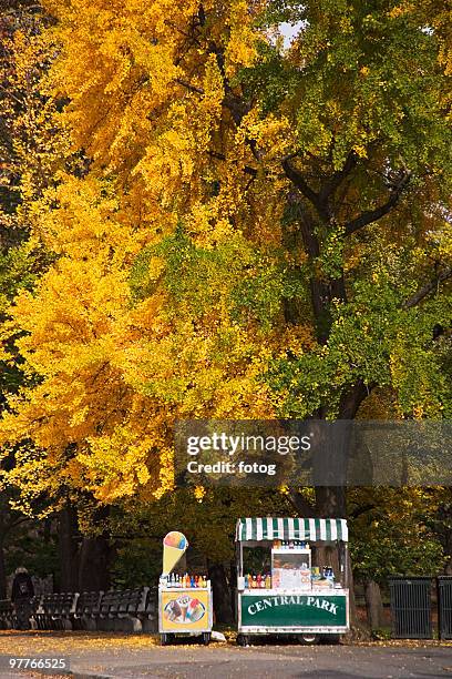 hot dog vendor - autumn in new york foto e immagini stock