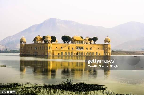 jal mahal - jal mahal stock pictures, royalty-free photos & images