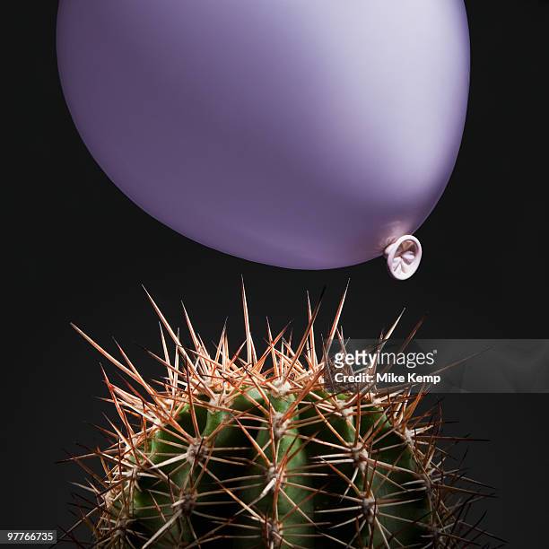 balloon close to cactus thorns - cactus stockfoto's en -beelden