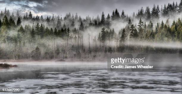 a lake and misty forest in canada. - forrest wheeler fotografías e imágenes de stock