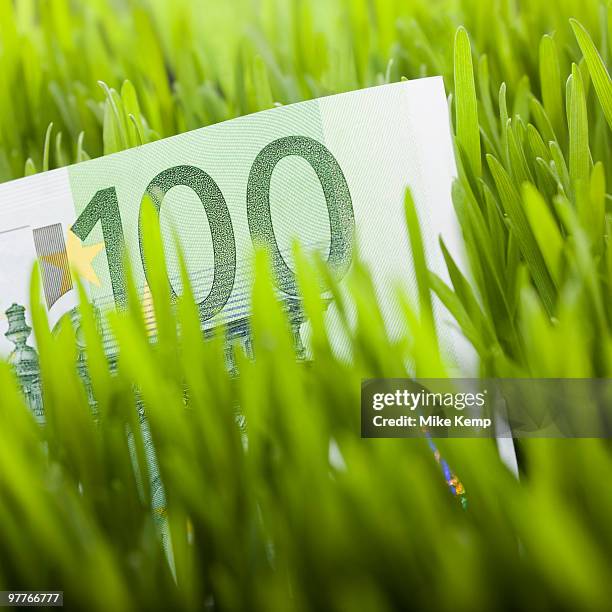 100 euro bill in grass - one hundred euro banknote stock pictures, royalty-free photos & images
