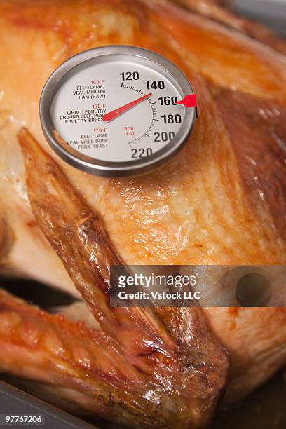 Popup Thermometer Timer Smoked Turkey Sitting Stock Photo