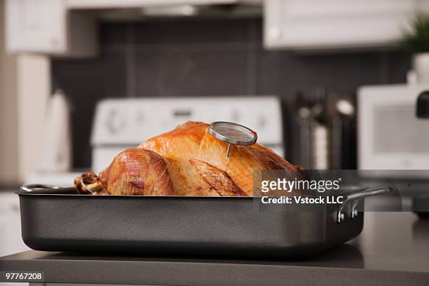 turkey in roaster - thermometer turkey stock pictures, royalty-free photos & images