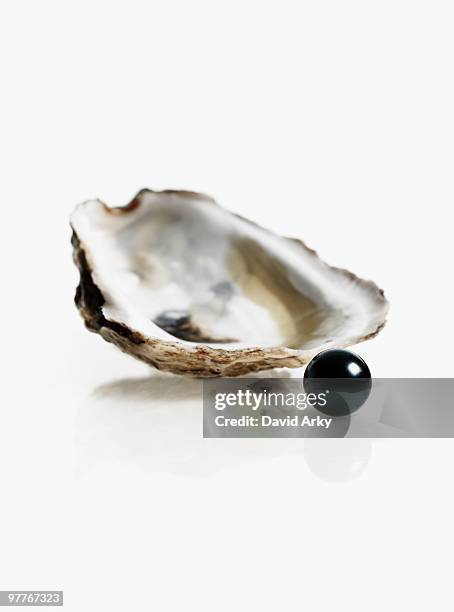 oyster and pearl - oyster pearl stockfoto's en -beelden