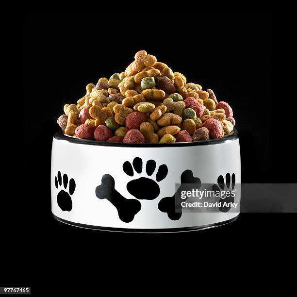 bowl of dog food - dog bowl photos et images de collection