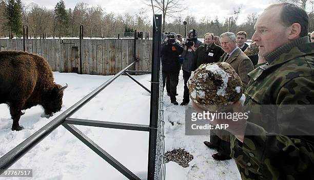 Britain's Prince Charles views bison at a reserve in Poland's Bialowieza forest in southwestern Poland on March 16, 2010. Prince Charles and his wife...