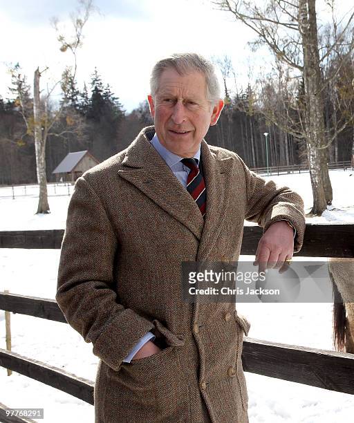 Prince Charles, Prince of Wales looks at Polish Tarpan Horses as he visits a Bison Reserve on March 16, 2010 in Bialowieza, Poland. Prince Charles,...