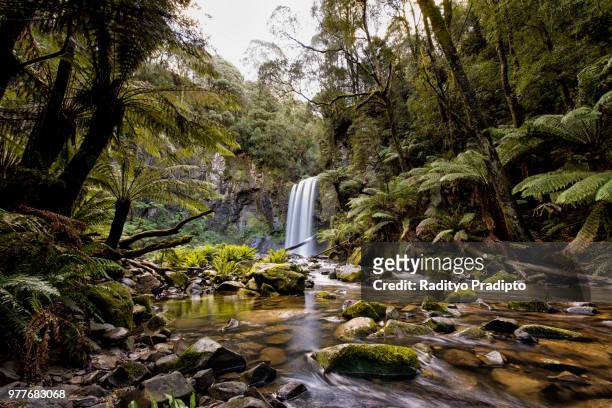 hopetoun falls in great otway national park, victoria, australia - victoria falls national park stock pictures, royalty-free photos & images