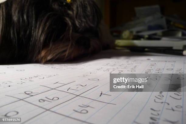 Paws Doing Math 429 Dog Math Stock Photos, High-Res Pictures, and Images - Getty Images