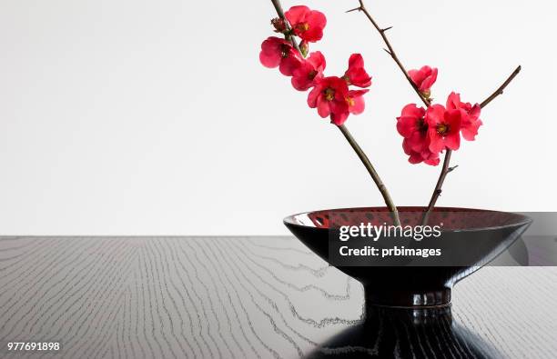 bowl with japonica - ikebana arrangement stock pictures, royalty-free photos & images