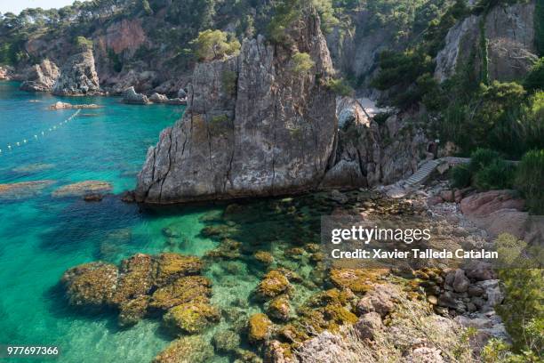 a rocky beach hidden from crowds - calella de palafrugell fotografías e imágenes de stock