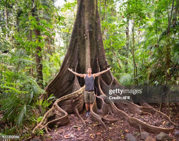 man by a huge tree, mossman gorge, daintree national park, queensland, australia - blonde hair roots stock pictures, royalty-free photos & images