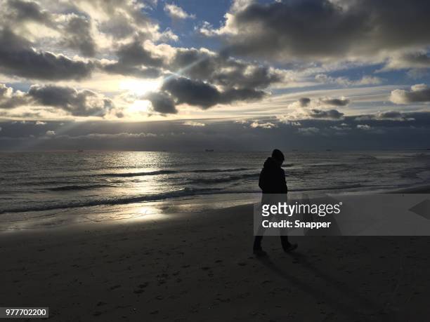 man walking on grenen beach, skagen, denmark - kattegat stock pictures, royalty-free photos & images