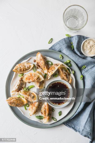 gyoza dumplings with dipping sauce - jiaozi imagens e fotografias de stock