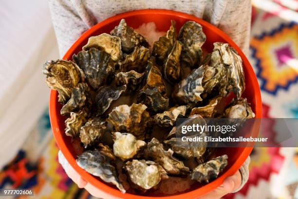 child holding a bucket of fresh oysters - bucket ストックフォトと画像