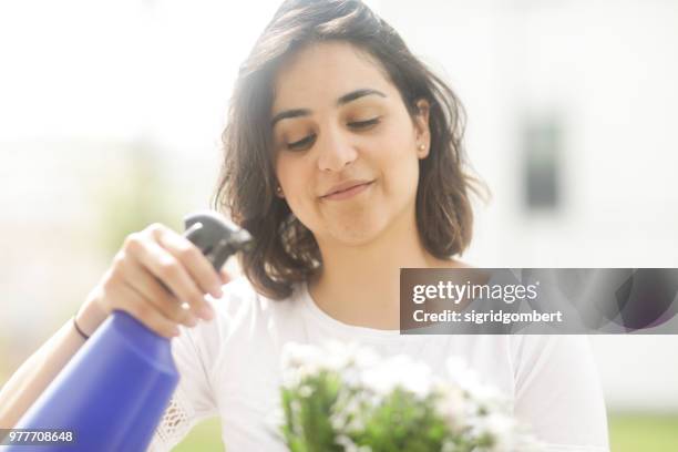 woman standing in garden spraying pot plant - pot plant stock pictures, royalty-free photos & images