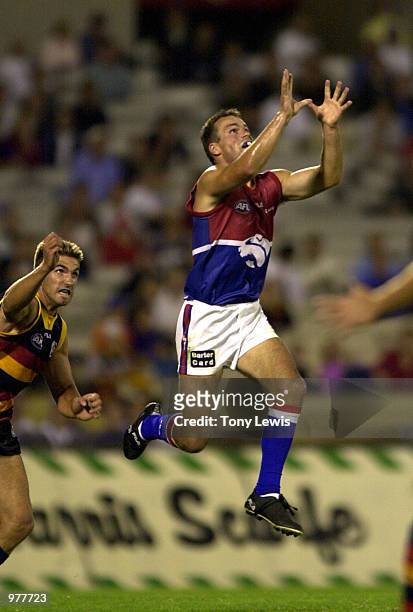 Brad Johnson for the Bullldogs flies up for a mark in fornt of Andrew Crowell for Adelaide in the match between the Adelaide Crows and the Western...