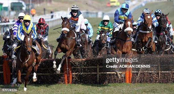 Horses jump a fence in the Spinal Research Supreme Novices' Hurdle Race during the opening day of the Cheltenham Festival on March 16, 2010. The...