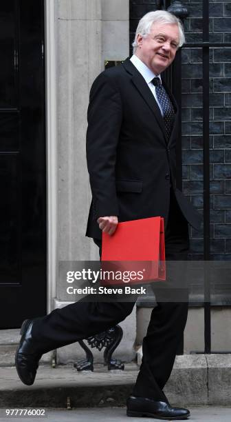 June 18 : Brexit Secretary David Davis leaving No10 Downing Street after a special cabinet meeting to discuss extra funding for the National Health...