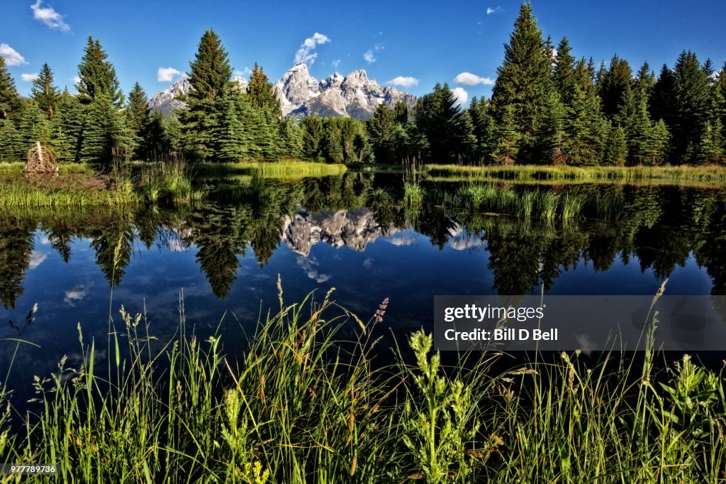Reflection of rocky mountain and forest, Grand Teton National Park, Wyoming, USA